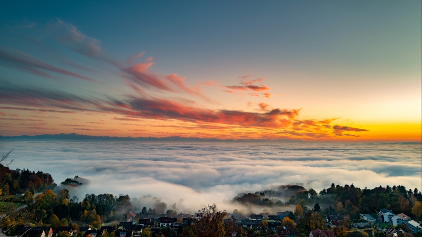 91糖心vlog关于我们